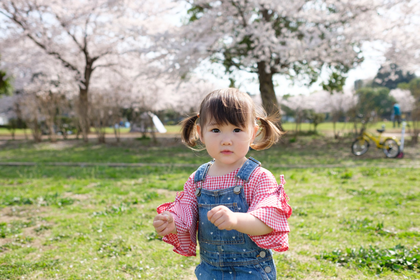 高野和希の撮影した家族フォト