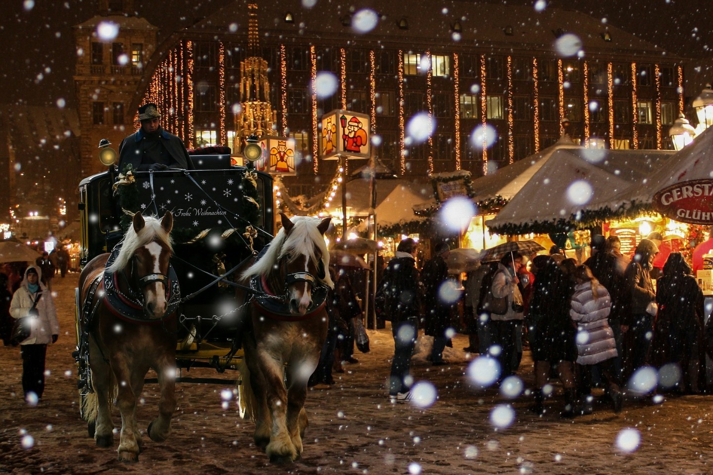 Horse carriage being drawn during the winter. A snowy wonderland.